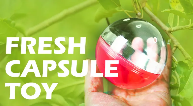 イメージ：カプセルトイ