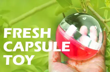 イメージ:カプセルトイ商品