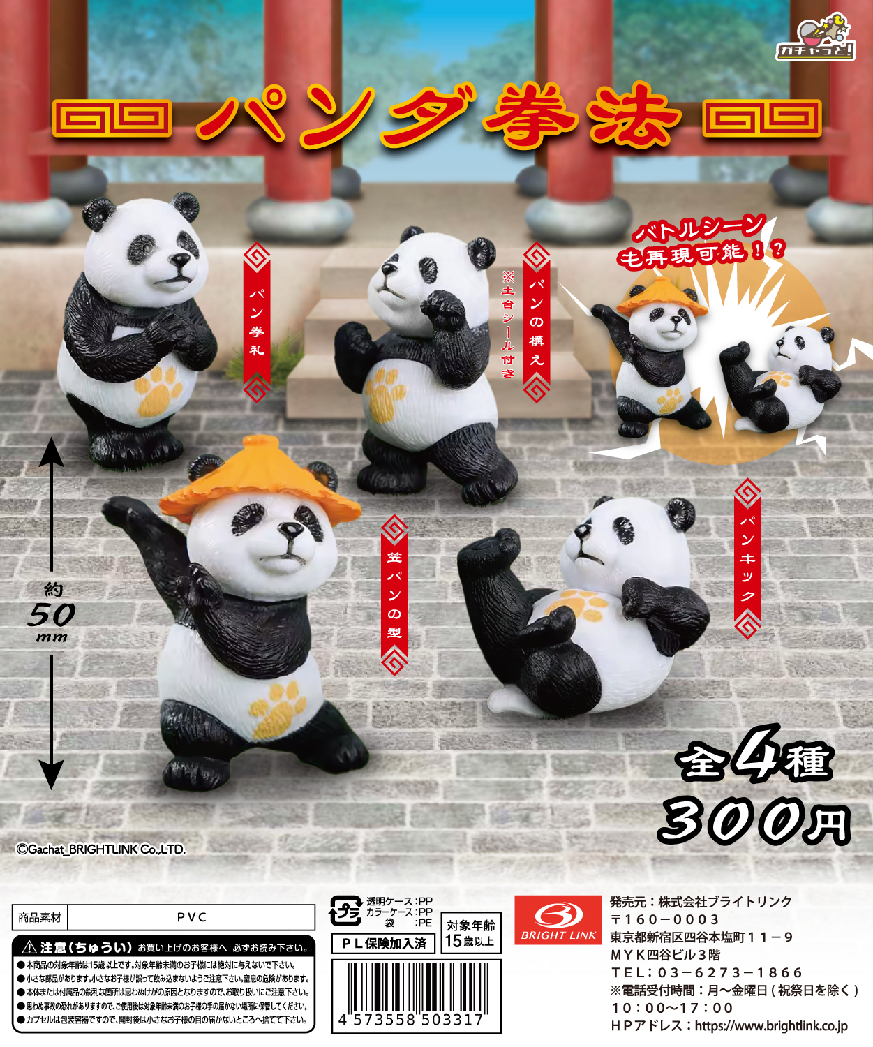 【パンダ拳法】