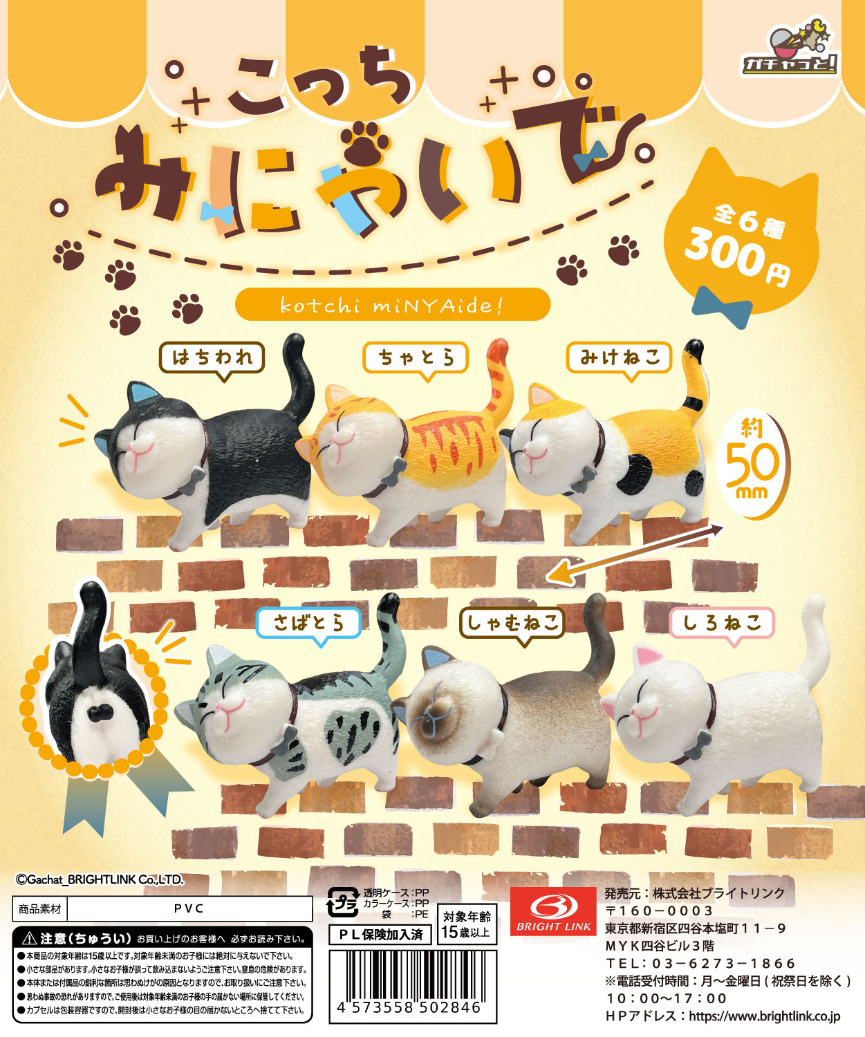 【こっちみにゃいで】