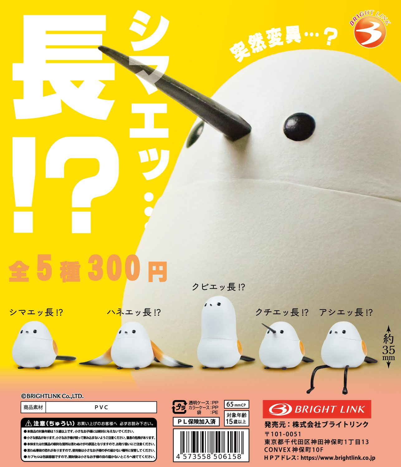 【シマエッ…長！？】
